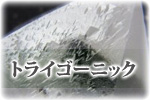 トライゴーニック